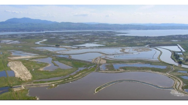 The Montezuma Wetlands restoration used over 3 million cubic yards of dredged sediment from elsewhere in the Bay. Photo: Joe LaClair 
