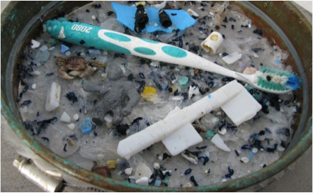 The circular currents of the world’s five ocean gyres concentrates trash. Trawls through these waters collect innumerable small particles of plastic forming a “plastic soup.” Credit: courtesy Carolynn Box, 5Gyres