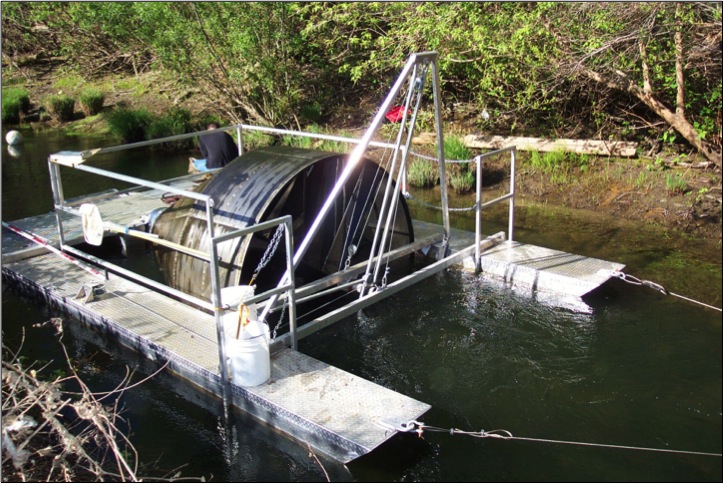The rotary screw trap allows biologists to obtain a representative sample of the fish passing through a stream reach without harming individuals. Image credit: Jonathan Koehler