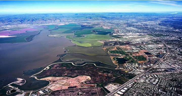 The South San Francisco Bay Shoreline Study will prepare a plan against future sea-level rise in the Bay. A combination of flood protection levees and wetlands that evolve over time will be used, improving safety while helping to restore Bay habitats.