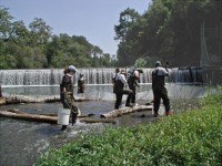 SFPUC staff electrofishing near Sunol Dam prior to its removal. Photo by Brian Sak. 