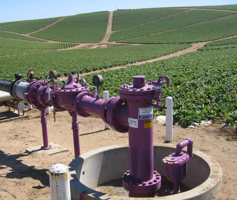 Sustaining Pajaro Valleyâ€™s Water