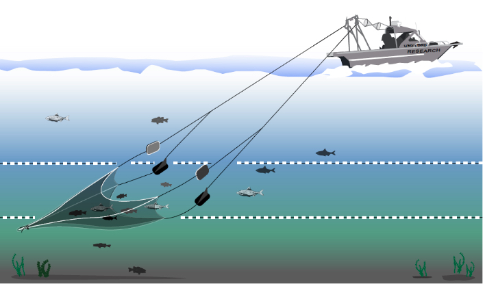 diagram of fish net trawl