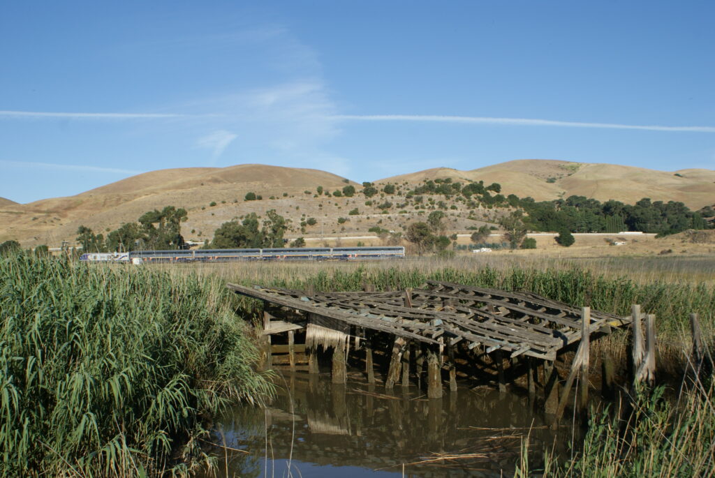 Train traversing the Marsh, with old trestle in foreground. Photo: Michael Adamson