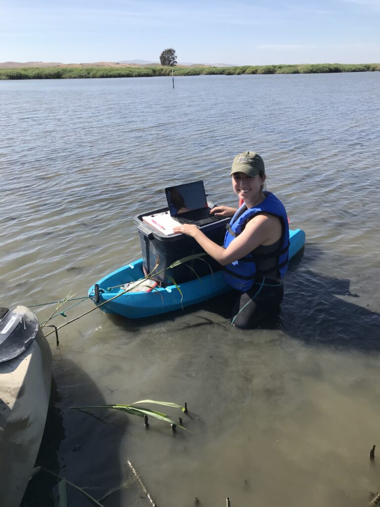 Researcher Richelle Tanner collects foundational data for Suisun Studies. Photo: Lorna Haworth