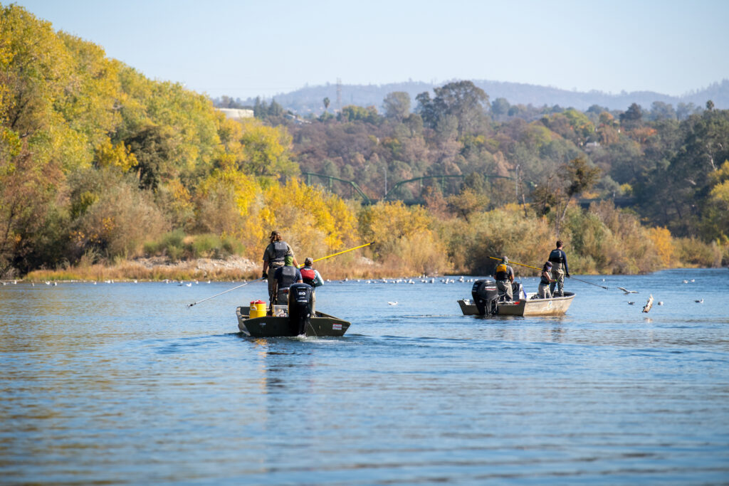 Surveying for salmon carcasses on the Feather River in 2020. Photo: Kelly M. Grow, DWR