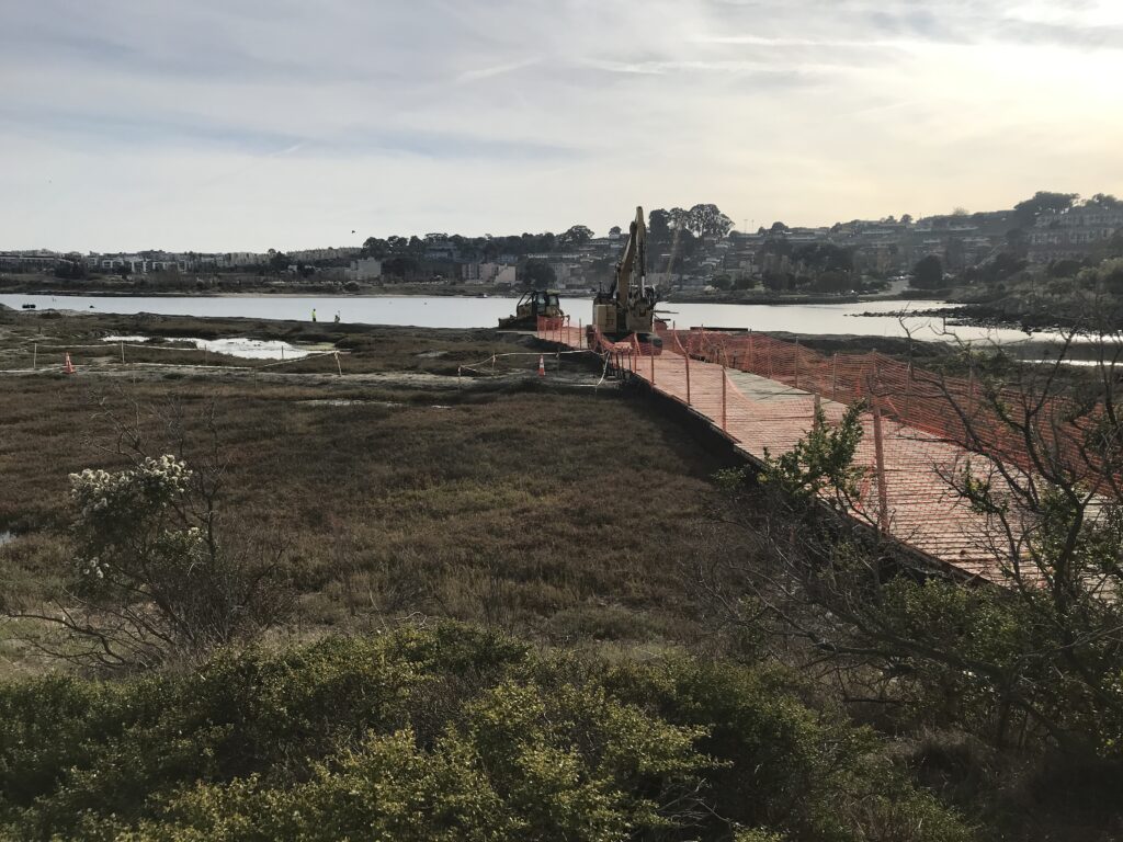 Special walkway for construction over sensitive beach habitat. Photo: Port of SF