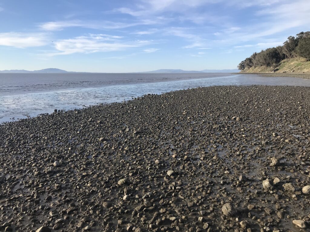 Breaking waves and buffering beach with the Giant Marsh living shorelines project at Point Pinole. Photo: SCC