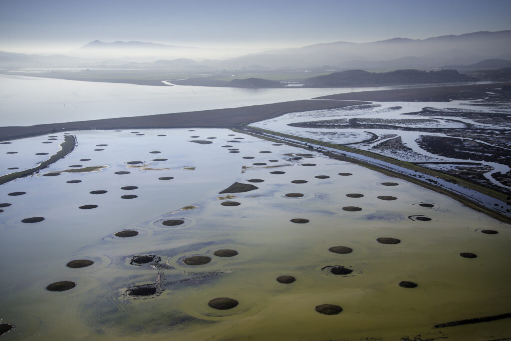 Islands at Sear's Point. Photo: Sonoma Land Trust